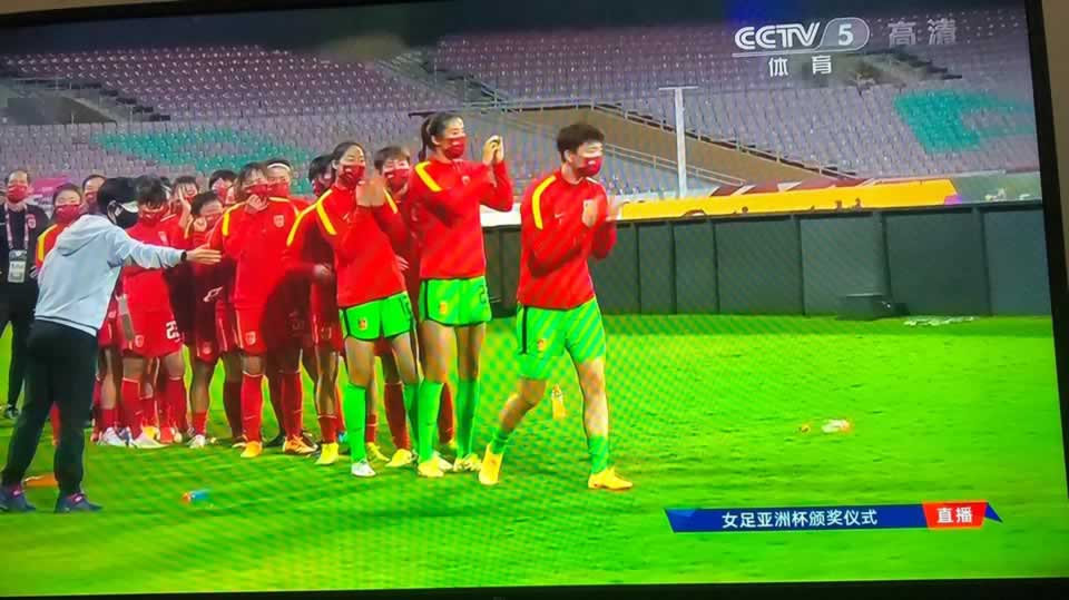 Chiếc Bóng Sư Tử Trên Thân Mèo